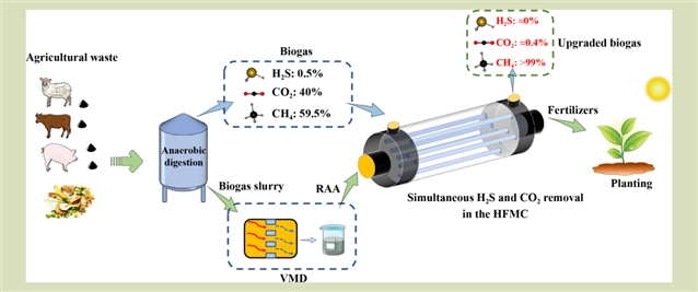 FASE | 前沿研究：新“膜法”利用绿色氨水实现沼气高值化