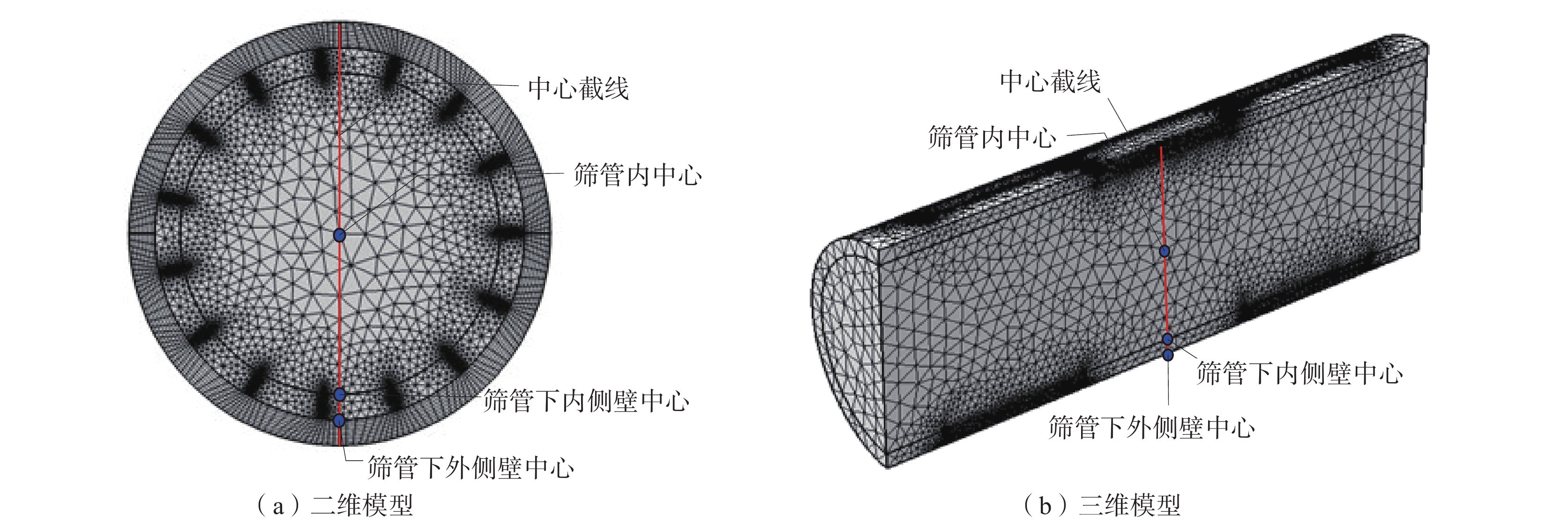 煤层气井筛管二维和三维仿真模型