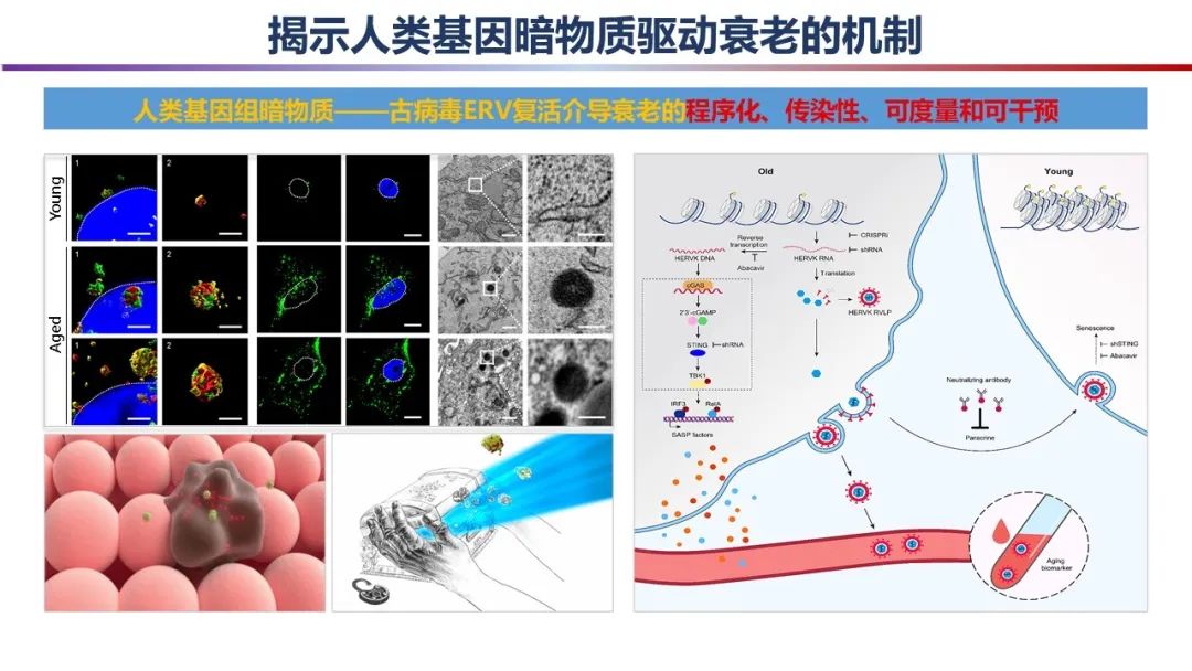 重磅！2023年度中国科学十大进展发布