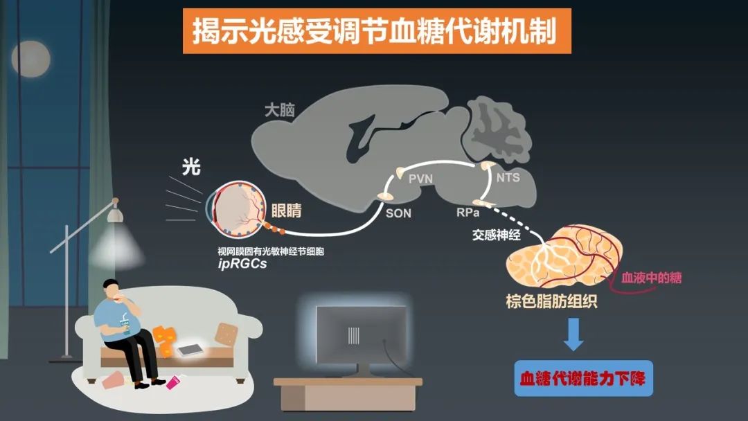 重磅！2023年度中国科学十大进展发布