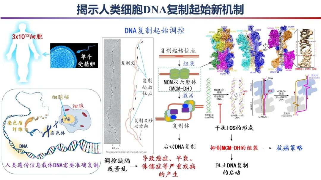 重磅！2023年度中国科学十大进展发布