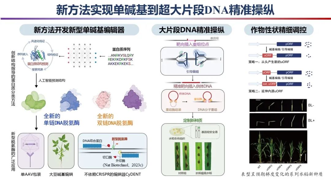 重磅！2023年度中国科学十大进展发布