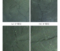 4组煤样表面裂隙分布实物图