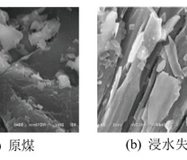 原煤和浸水失水煤样的SEM图
