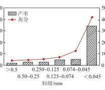 煤样筛分试验结果