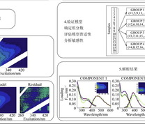 EEM-PARAFAC分析流程