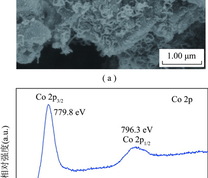 钴基活化剂Co-NCP的微观形貌和所含钴元素的Co2pX-射线光电子能谱