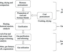 煤与生物质的共气化过程