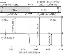 反向电流机理中阴极和阳极的电势分布