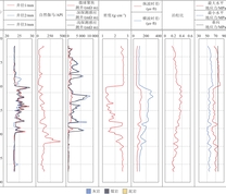 导眼井测井成果
