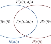 样本$ x(i) $和$ x(j) $的互信息