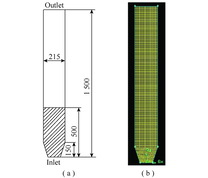 流化床几何结构及网格划分