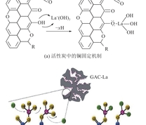 镧改性活性炭中的镧固定机制及其除氟机理