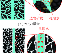 水-力耦合与隔离状态下孔道砂岩示意