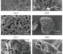 中药固废基多孔碳的SEM图像