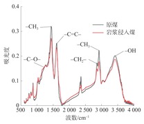 煤样红外光谱曲线对比