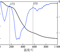 泥炭样品的TG-DTG 曲线