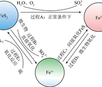 煤脱硫直接氧化与间接氧化原理