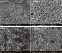 不同催化剂的扫描电镜照片