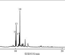 Diels-Alder合成产物的GC-MS色谱图