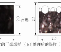 实验所用煤样示意图