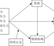 研究模型