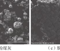 试验原料微观颗粒状态