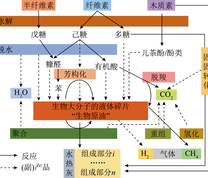 水热碳化反应历程