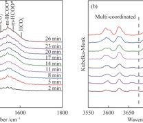 共沉淀法制备的Cu-Mn-La-Zr催化剂CO2吸附(a)和吸附过程中羟基浓度随时间变化的原位红外光谱谱图(b)
