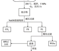 氧化过程及产物处理示意