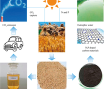 绿色植物“固碳”制备生物质碳示意