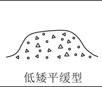 渣山边坡类型