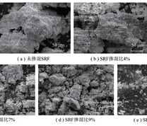 SRF不同掺混比下混合燃料燃烧成灰的SEM图像
