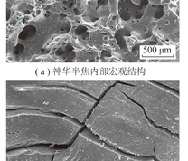 2种半焦的SEM照片