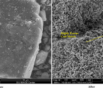 Illinois coal before and after year-long microbial treatment. (adapted from Zhang et al 2018a, b, 2018a)