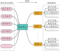 煤岩样品与裂隙实体关系映射图