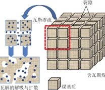 瓦斯在煤中运移过程