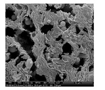 粉煤灰SEM