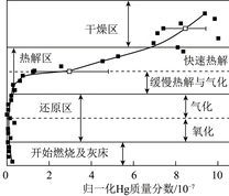 Hg在煤气化过程中分布特