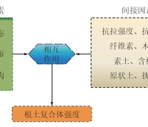 根土复合体抗剪强度影响因素