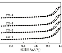 不同催化剂的N2吸附脱附等温线