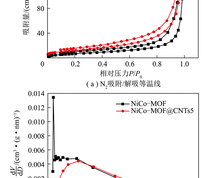 N2吸附/解吸等温线和孔径分布