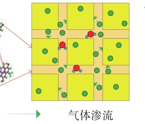 煤体中气体运移示意图