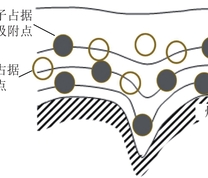 煤体表面等势线