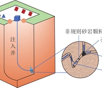 砂岩颗粒在孔隙中的运移和堵塞模型