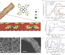 Ni SACs模型及结构表征： (a) CO2RR模型Ni SACs的合成；(b) Ni-CNT-CC的FESEM照片(比例尺，200 nm)；(c) Ni-CNT-CC的HAADF-STEM照片(比例尺，5 nm)；(d) Ni K-edge XANES；插图显示了EXAFS光谱的傅里叶变换；(e) N K边X射线吸收光谱，其中峰A、B、C和D代表Ni-TAPc中吡啶氮和桥接氮的1s–π*跃迁；(f) Ni-CNT-CC和Ni-TAPc的紫外光发射光谱的第二电子截止区