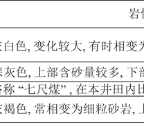 3号煤层及含煤岩系柱状