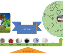 不同催化剂用于生物质热解制备高质量液体燃料和化学品示意