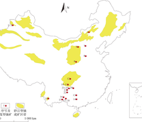 煤型铀矿的分布