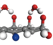 煤与水分子作用力结构